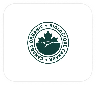 Certification Logo Container (4)