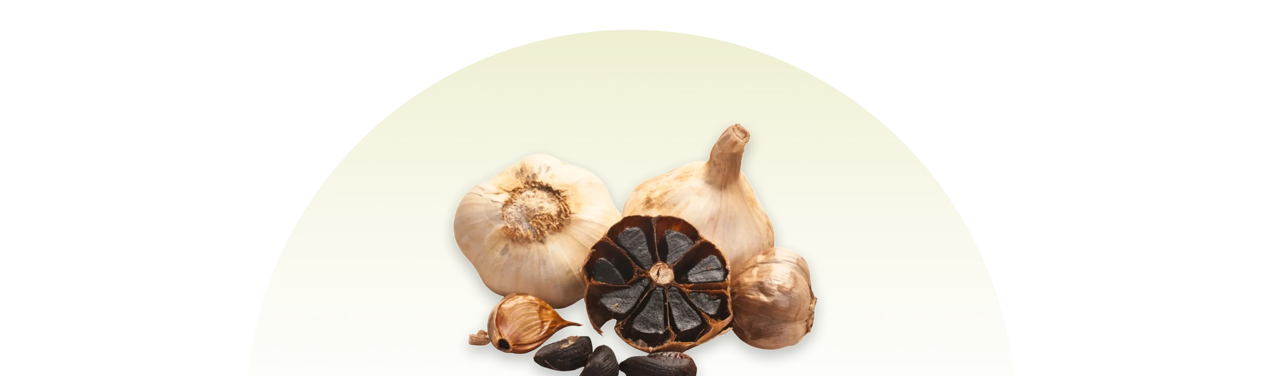 Benefits of black garlic